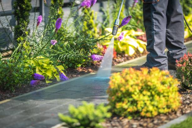 Trusted Knoxville, TN Pressure Washing Experts